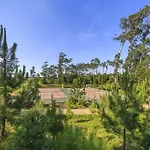 - Hotel, Termas & Hotel Monte Real
