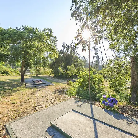 - Hotel, Termas & Hotell Monte Real