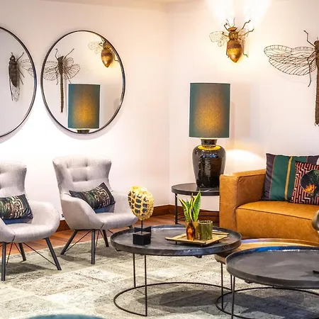 - Hotel, Termas & Hotel