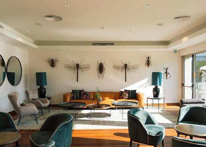 - Hotel, Termas & Monte Real