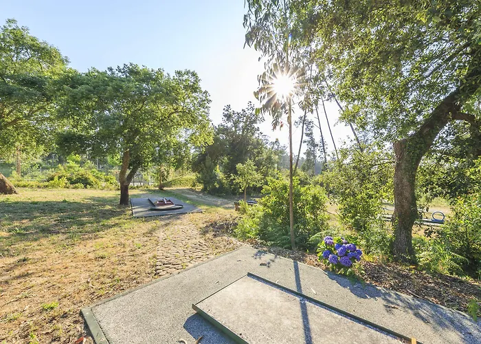 - Hotel, Termas & Hotel Monte Real